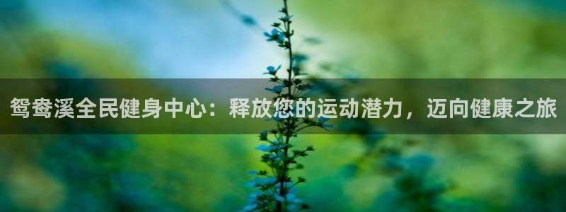 尊龙官方网站：鸳鸯溪全民健身中心：释放您的运动潜力，迈向
