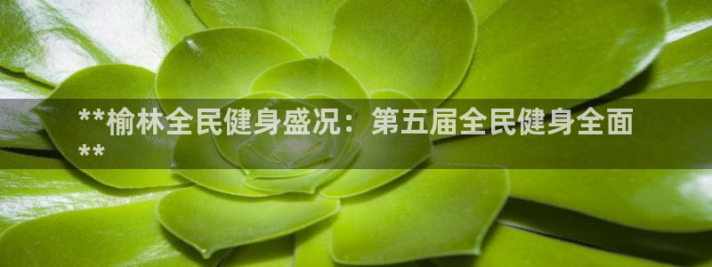尊龙现金推荐ag发财网：**榆林全民健身盛况：第五届全民