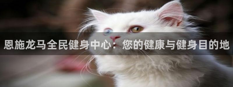 尊龙ag旗舰厅手机版：恩施龙马全民健身中心：您的健康与健