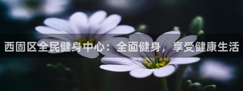 尊龙版末代皇帝：西固区全民健身中心：全面健身，享受健康生