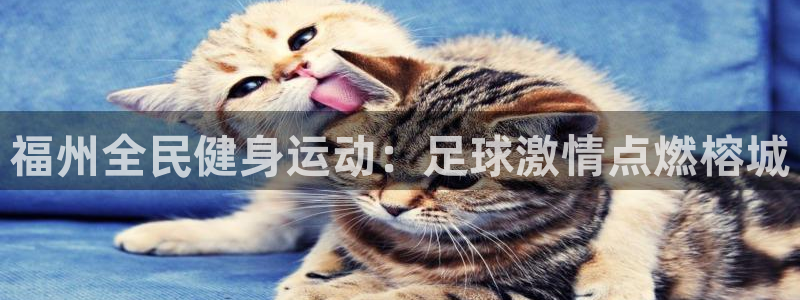 尊龙人生就是博旧版网址：福州全民健身运动：足球激情点燃榕