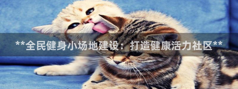 凯时app官方首页：**全民健身小场地建设：打造健康活力