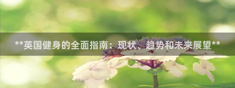 尊龙凯时一人生就是博登入：**英国健身的全面指南：现状、