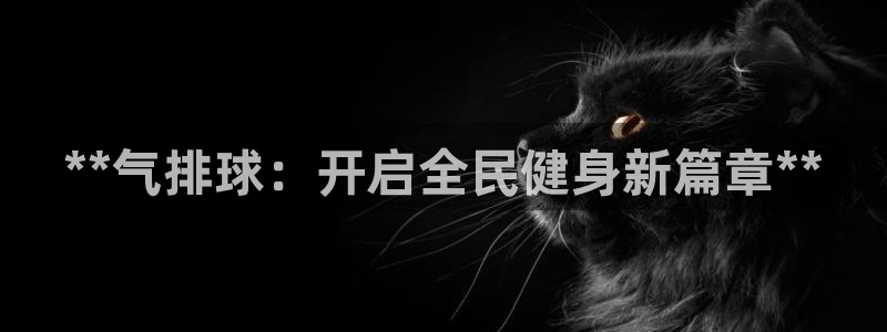 尊龙凯时人生就是博·(中国)：**气排球：开启全民健身新