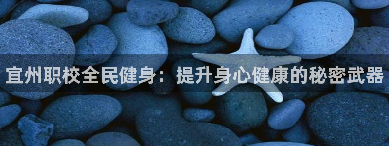 尊龙百度贴吧：宜州职校全民健身：提升身心健康的秘密武器