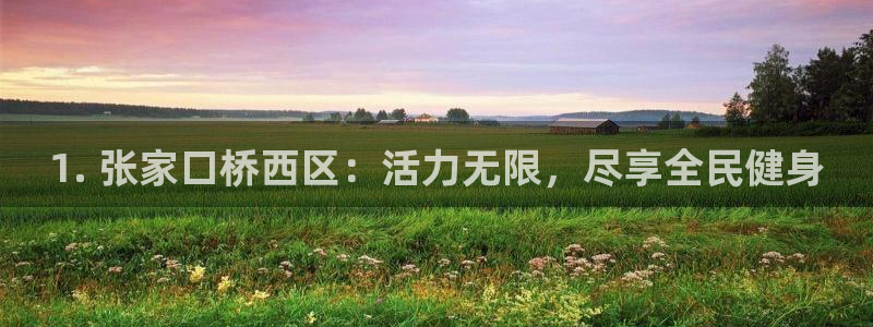 尊龙凯时是大平台吗：1. 张家口桥西区：活力无限，尽享全