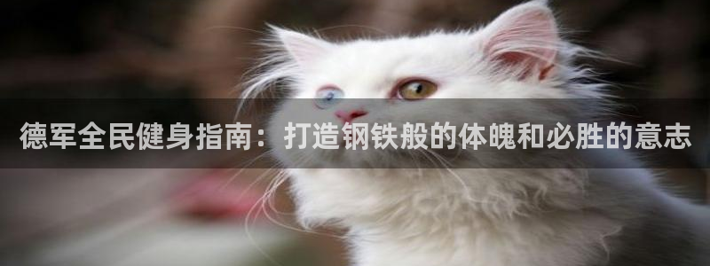 凯时官网app下载官方网站：德军全民健身指南：打造钢铁般