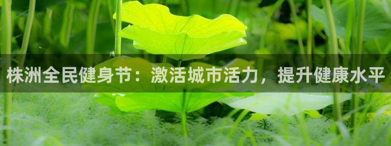 尊龙凯时取款有要求吗：株洲全民健身节：激活城市活力，提升