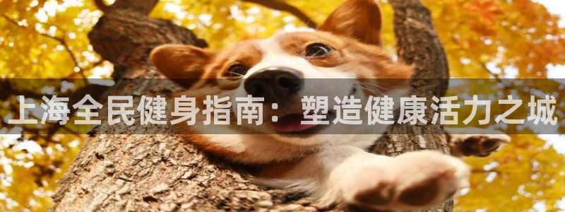 旧版尊龙人生就是博下载：上海全民健身指南：塑造健康活力之