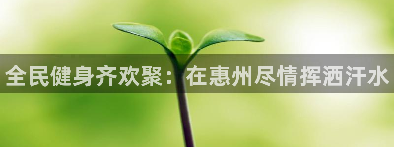 尊龙凯时人生就是搏平台：全民健身齐欢聚：在惠州尽情挥洒汗