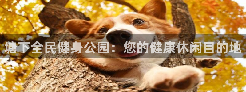 凯时尊龙官网网址：塘下全民健身公园：您的健康休闲目的地
