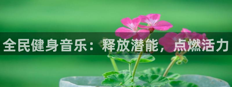 尊龙凯时城娱乐：全民健身音乐：释放潜能，点燃活力