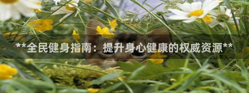 尊龙人生就是博AG：**全民健身指南：提升身心健康的权威