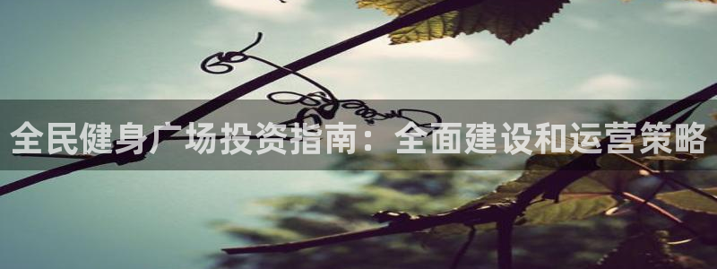 尊龙人生就是博一下首页：全民健身广场投资指南：全面建设和