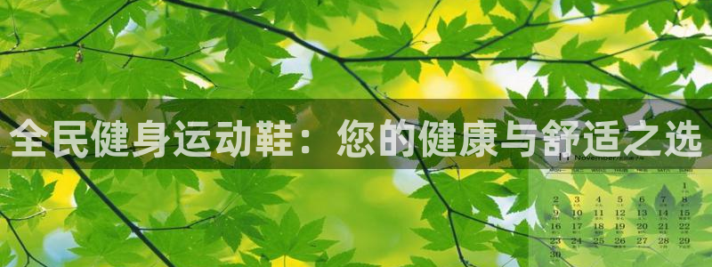 尊龙官网手：全民健身运动鞋：您的健康与舒适之选