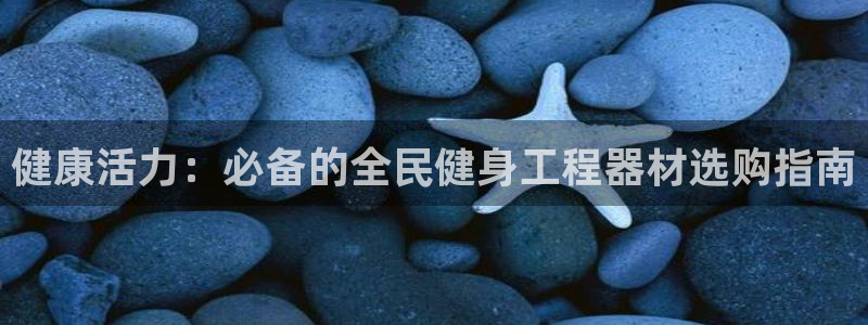 尊龙传奇英文怎么写：健康活力：必备的全民健身工程器材选购