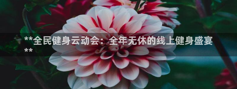 尊龙官方网站：**全民健身云动会：全年无休的线上健身盛宴