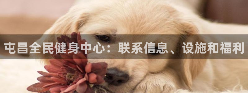 尊龙人生就是博用现金玩一下：屯昌全民健身中心：联系信息、