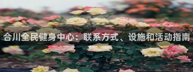 尊龙现金娱乐 下载：合川全民健身中心：联系方式、设施和活