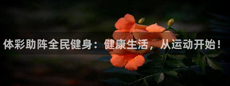 z6尊龙凯时集团：体彩助阵全民健身：健康生活，从运动开始