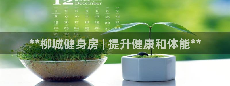 agz6尊龙凯时集团：**柳城健身房 | 提升健康和体能