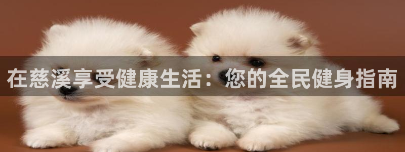 尊龙 5：在慈溪享受健康生活：您的全民健身指南