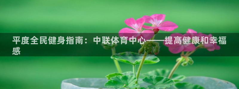尊龙凯时网娱乐官网：平度全民健身指南：中联体育中心——提