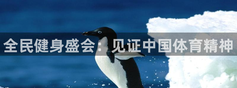 尊龙app登录不了：全民健身盛会：见证中国体育精神