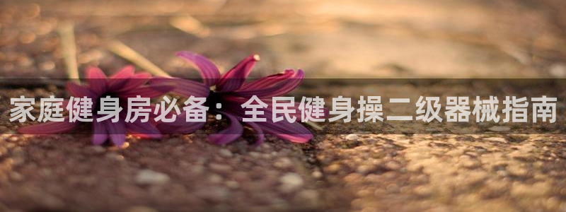 尊龙人生就是博送38：家庭健身房必备：全民健身操二级器械