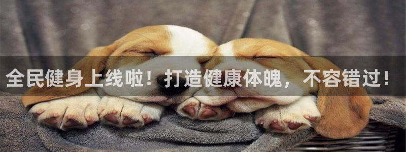 尊龙凯时z6官网：全民健身上线啦！打造健康体魄，不容错过