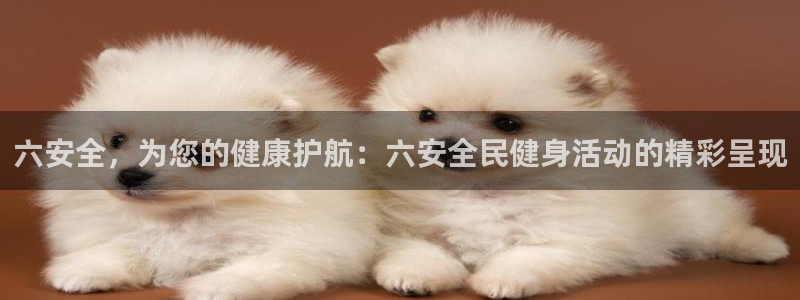 尊龙网站下分慢