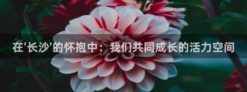 尊龙人生就是博旧版现金娱乐一下