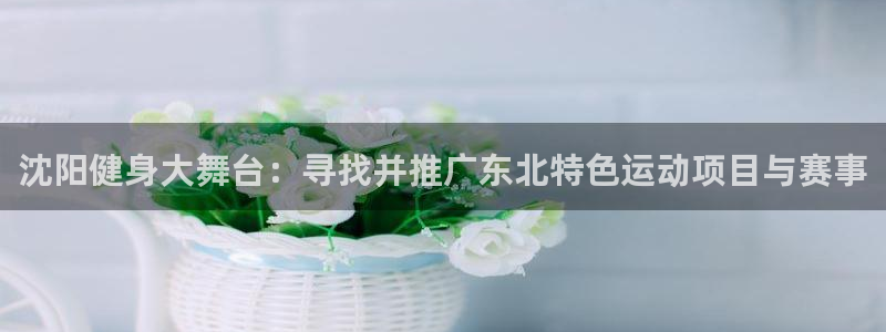 尊龙现金一下指导AG发财网