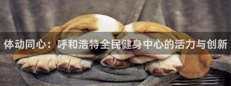 ZL尊龙凯时平台