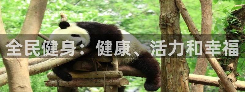 尊龙凯时平台官网：全民健身：健康、活力和幸福