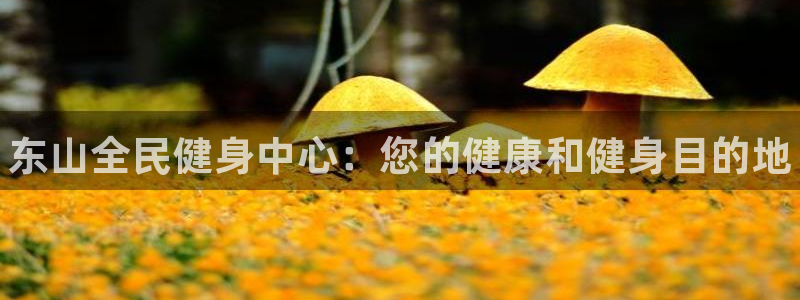 尊龙凯时平台还是万博好：东山全民健身中心：您的健康和健身目的