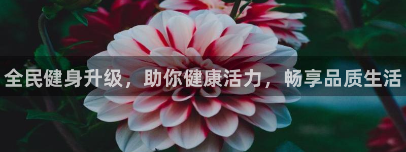 尊龙凯时输钱的原因：全民健身升级，助你健康活力，畅享品质生活